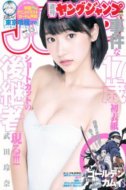 电视剧新女婿时代